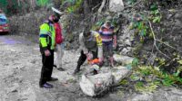 IMG-20211226-WA0104