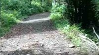 IMG-20220801-WA0026