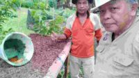IMG-20230620-WA0162