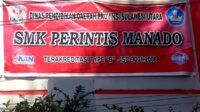 Perintis