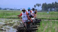 16303-Petani-di-Tanah-Datar-Telah-Menikmati-Layanan-Bajak-Sawah-Gratis_270224030514