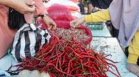 Penuhi-Kebutuhan-Pokok-Dengan-Harga-Terjangkau-Pemkab-Tanah-Datar-Gelar-Pasar-Murah_070324120942