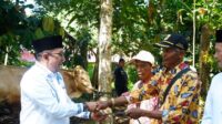 BPK-RI-Serahkan-Sapi-Korban-Bupati-Eka-Putra-Haturkan-Terima-Kasih_190624075323