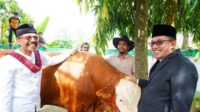 Bupati-Eka-Putra-dan-Keluarga-Kurban-Satu-Ekor-Sapi-Seberat-1-Ton_190624075135