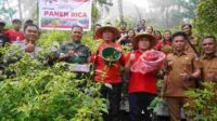 Bupati Minahasa Selatan, Franky Donny Wongkar dan jajaran ikut panen Rica Di Desa Picuan (ist)