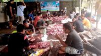 IMG-20250607-WA0004