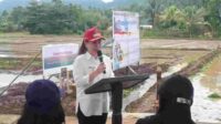Wakil Bupati Minahasa, Vanda Sarundajang, SS membawakan sambutan dalam kegiatan Gerakan Tanam Padi Bersama (ist)