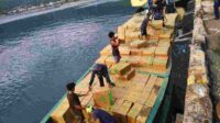 IMG-20250815-WA0007