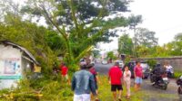 IMG-20251006-WA0010