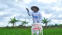 pupuk_subsidi_1731491652