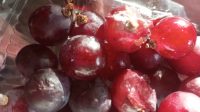 IMG-20260110-WA0003