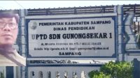 IMG-20260529-WA0001