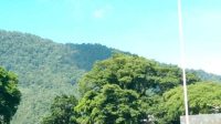 IMG-20260701-WA0007
