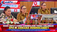 file_00000000cdf082078ecb91a966aa0d15 (1)